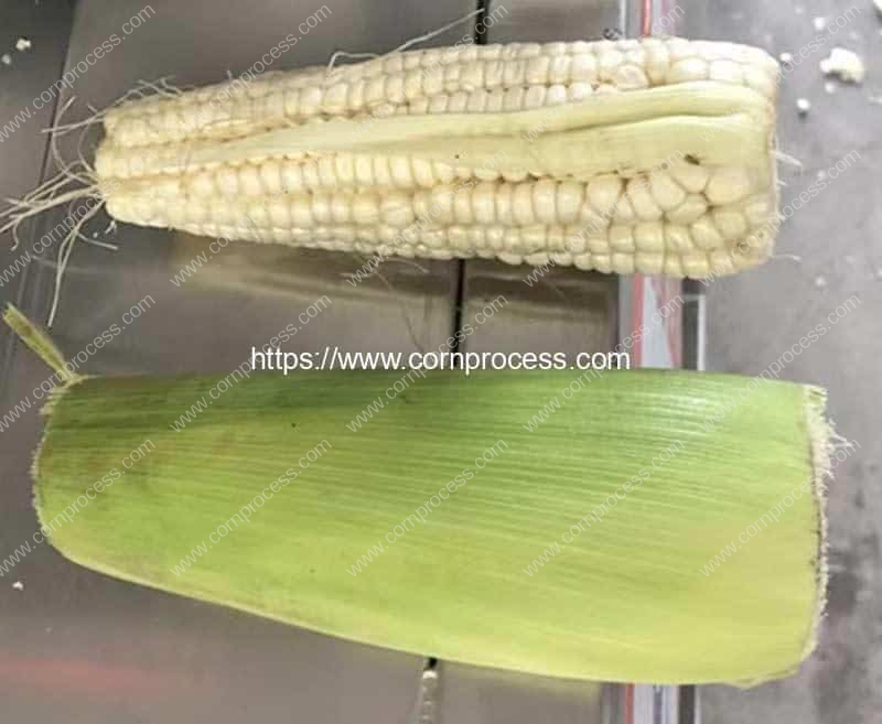 Automatic-Fixed-Length-Corn-Head-Cutting-Machine-Result