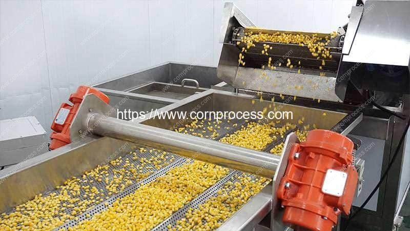 Automatic-Fresh-Corn-Kernel-Vibrate-Water-Removing-Machine-Working