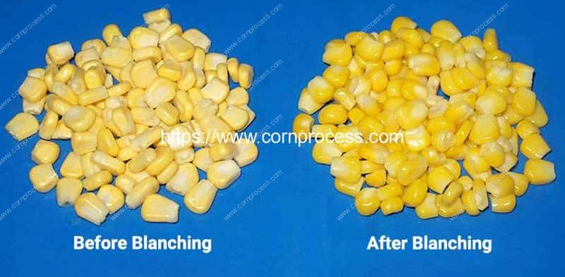 Automatic-Sweet-Corn-Kernel-Blanching-Machine-Result