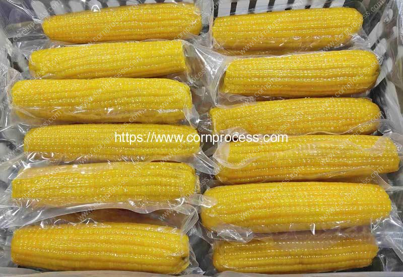 Vacuum-Packed-Corn-Cob-Product