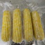 Vacuum Packed Sweet Corn Cob Production Line