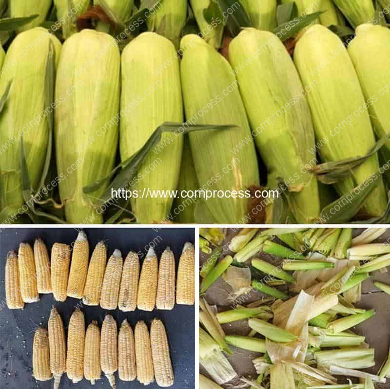 Rubber-Roller-Type-Fresh-Sweet-Corn-Dehusking-Machine-Result