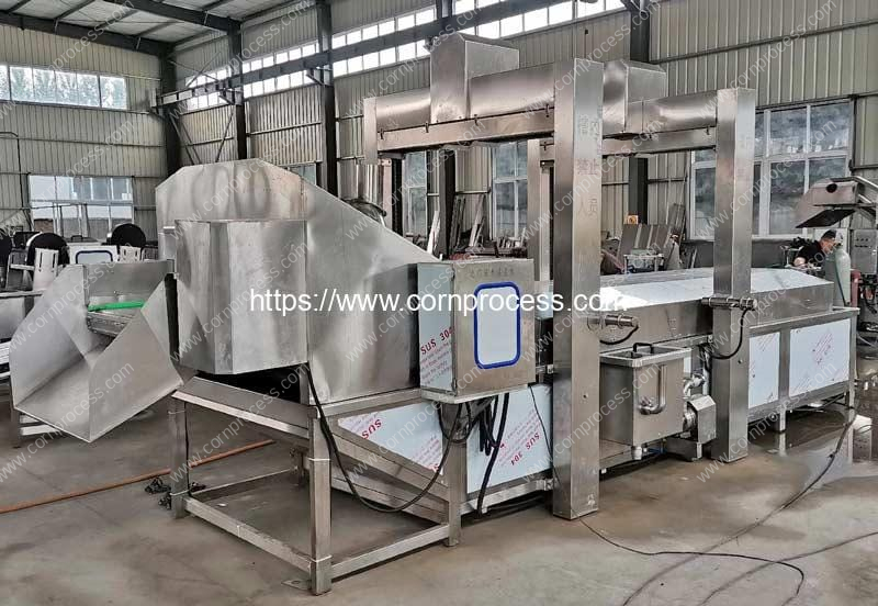 Automatic-Vegetable-Water-Washing-Machine-with-Tank-Lift-Crane-for-Sale