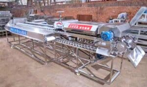 Automatic Fresh Corn Double Head Cutting Machine with Auto Positioning Function