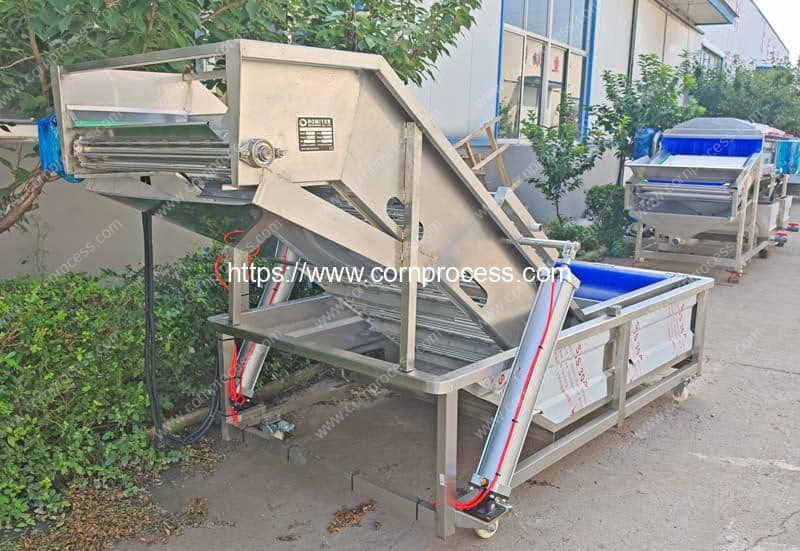 Automatic-Cutted-Sweet-Corn-Cob-Washing-Machine-with-Pneumatic-Bucket-Elevator