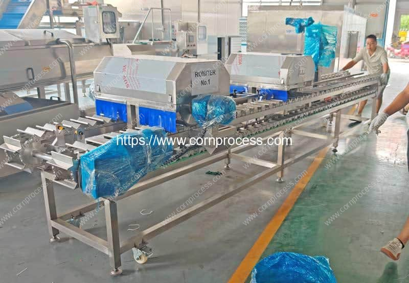 Automatic-Fresh-Sweet-Corn-Double-Head-Cutting-Machine-for-Indonesia-Customer