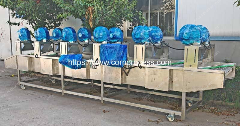 Automatic-Vacuum-Packed-Sweet-Corn-Bag-Surface-Water-Air-Blow-Removing-Machine-for-Indonesia-Customer