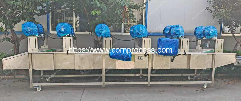 Automatic-Vacuum-Packed-Sweet-Corn-Bag-Water-Blow-Removing-Machine-for-Indonesia