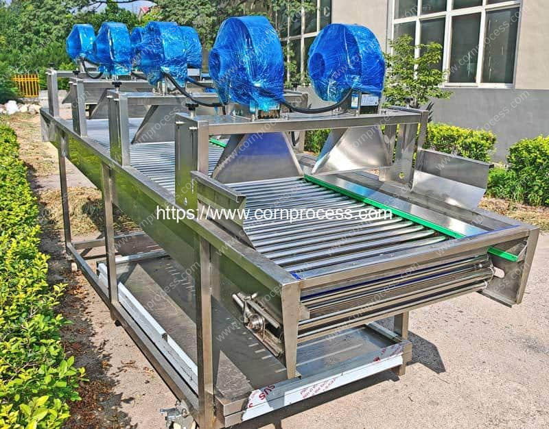 Automatic-Washed-Fresh-Sweet-Corn-Air-Blow-Water-Removing-Machine-with-Rolling-Rod-Conveyor-for-Indonesia-Customer