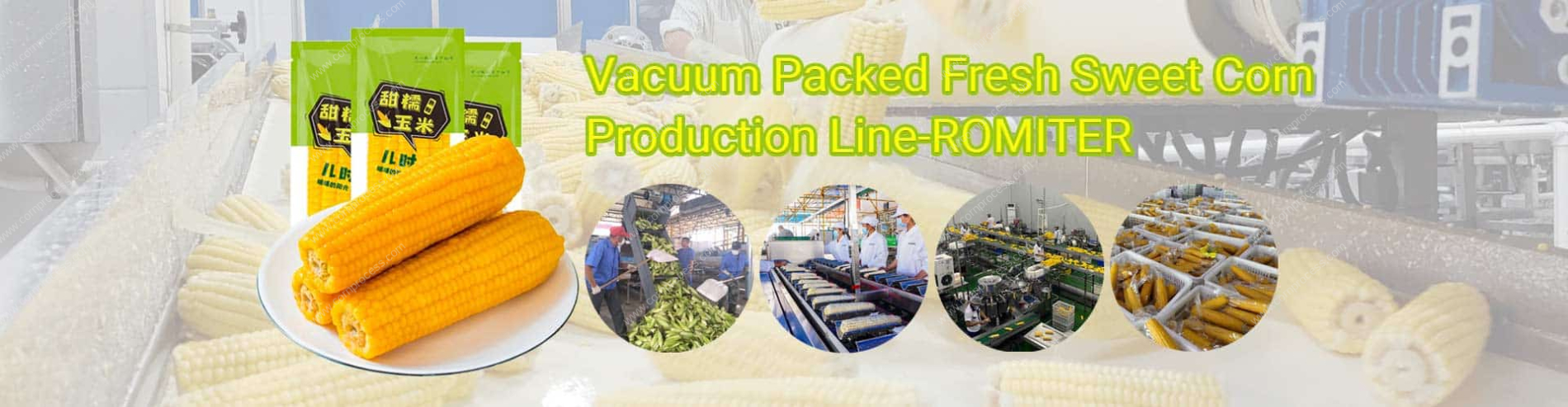 Automatic-Vacuum-Packed-Sweet-Corn-Production-Line