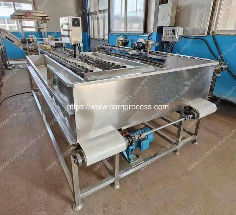 Fixed-Conveyor-Sweet-Corn-Head-and-Tail-Cutting-Machine