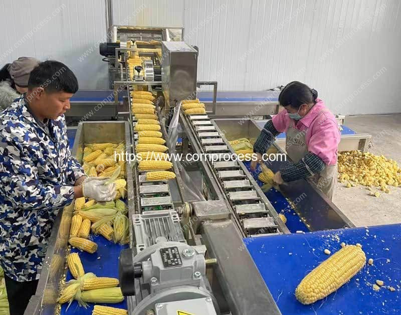 Fixed-Conveyor-Sweet-Corn-Head-and-Tail-Cutting-Removing-Machine-Operation