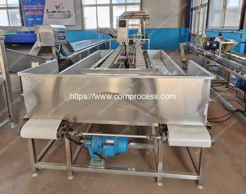 Fixed-Feeding-Conveyor-Sweet-Corn-Head-and-Tail-Cutting-Machine-for-Sale