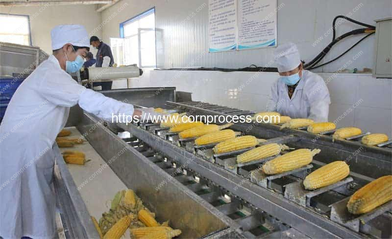 Fixed-Feeding-Conveyor-Sweet-Corn-Head-and-Tail-Cutting-Machine