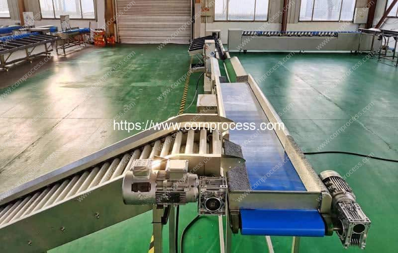 Automatic-Root-Vegetable-Sweet-Corn-Cob-Weight-Sorting-Grading-Machine-with-Conveyor-Feeding