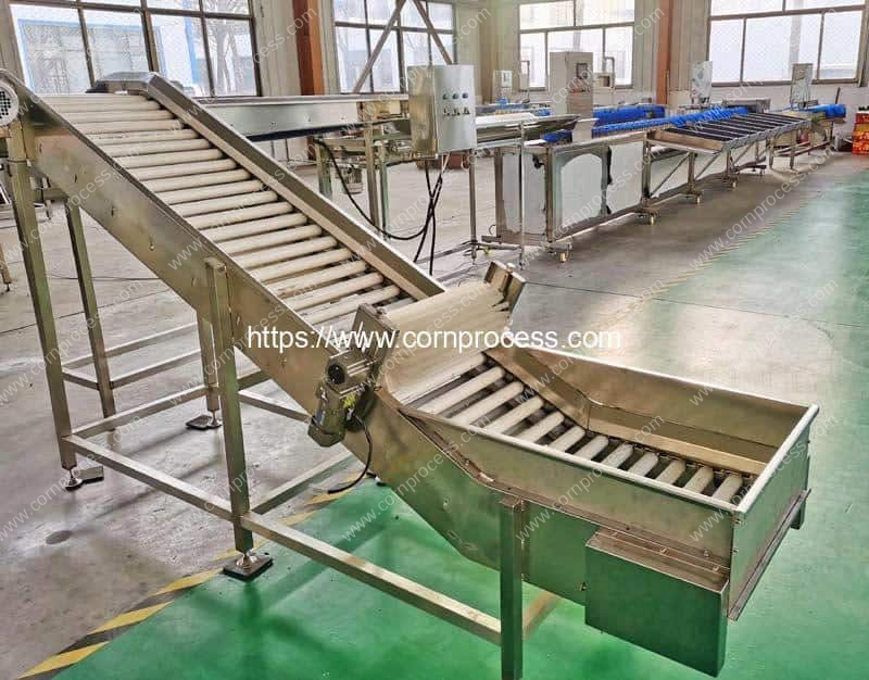 Automatic Sweet Corn Weight Grader Machine